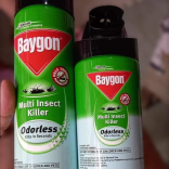 Baygon Protector Multi-Insect Killer