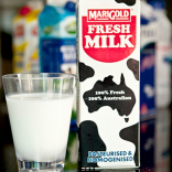 100% Fresh Milk - Plain
