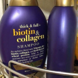 Thick & Full + Biotin & Collagen Shampoo
