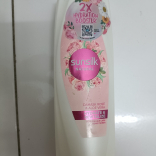 Natural Damask Rose & Aloe Vera Shampoo & Conditioner