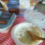 Greek Style Honey Yogurt