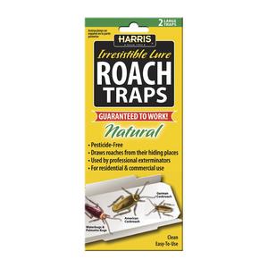 Pesticide-Free Cockroach Traps