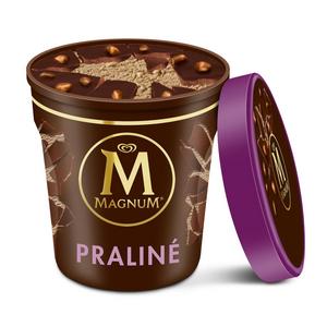 Hazelnut Praline Pint Ice Cream