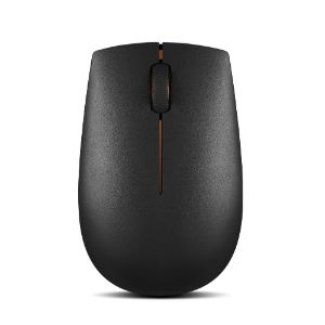 300 Wireless Compact Mouse