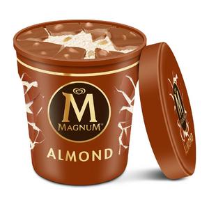 Almond Vanilla Pint Ice Cream