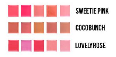 Lip Color Palette Lipstik